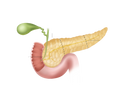 Diabetes Package image 0