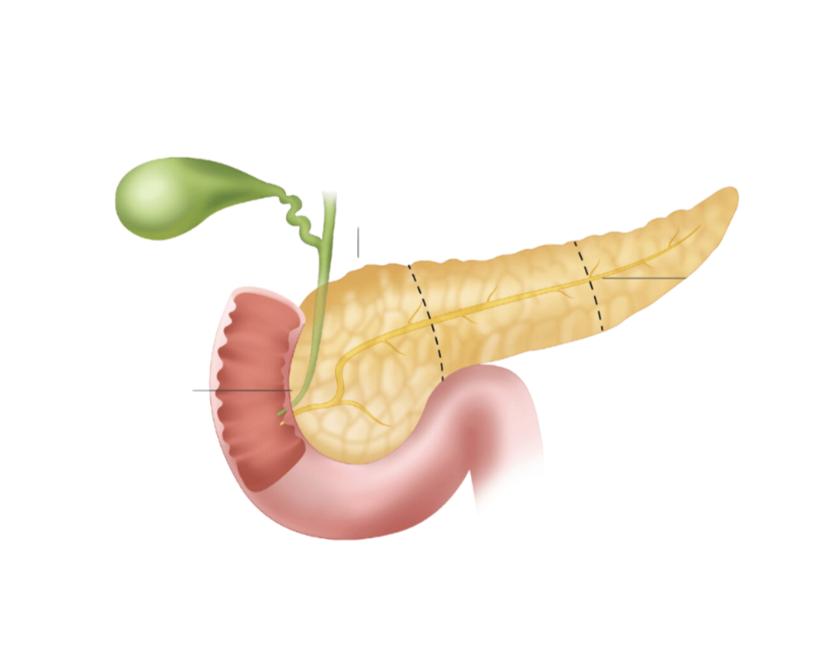 Diabetes Package image 0