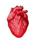High Blood Pressure Package image 0