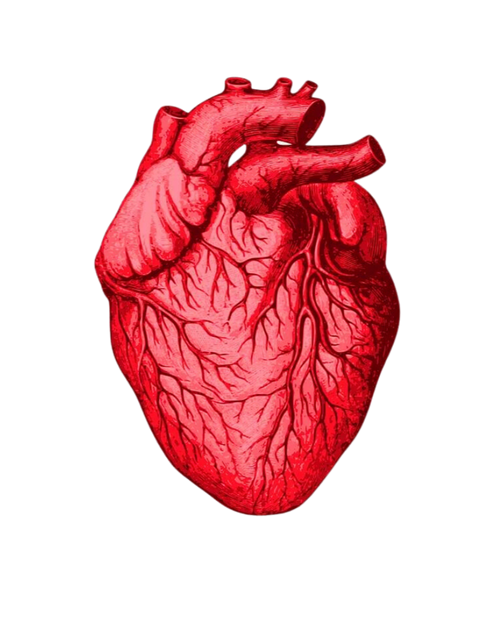 High Blood Pressure Package image 0